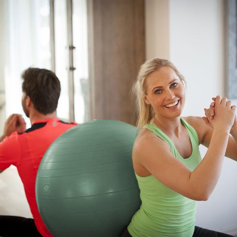 Abilica - FitnessBall ECO 65cm